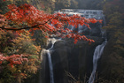 袋田の滝と紅葉２