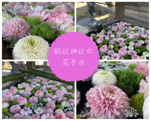 総社神社の花手水henkou